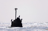 vrijheit wijk aan zee 7-2019 0190